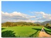 田园初秋