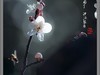 梅花开了