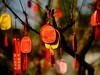 唯卓 仕镜头试用