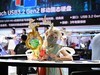 CJ我来了，小姐姐们都特别好看，跟ZOL看展团一起行动哦