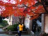 惠山随拍