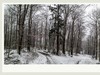 踏雪黑森林