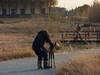 杭州湾湿地冬拍（19）