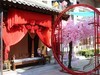 洛阳秋色美佳丽入境来
