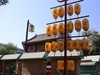 洛阳秋色美佳丽入境来