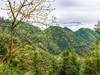 山乡风景
