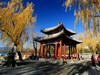 初冬游颐和园