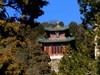 初冬游颐和园