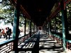 初冬游颐和园