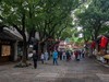惠山古镇随怕