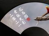 【老张光影】凤凰遇上鸟鼠斗