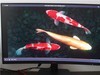 2K高清、144Hz，HKC SG27QC显示器上手体验