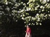 阳春三月去踏青