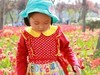 阳春三月去踏青