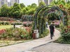 杨春湖景区春色