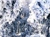 南岳衡山雾淞6