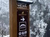 南岳衡山雾淞6