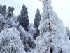 南岳衡山雾淞6