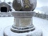 南岳衡山雾淞6
