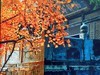 记忆中的美好