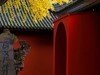 2023年成都武侯祠银杏季节