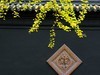 2023年成都武侯祠银杏季节