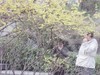 太原市龙潭公园（三）