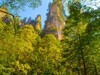 张家界游拍 52