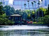 游公园随拍
