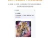 大屏AI办公轻薄新选择，华硕无畏Pro16 锐龙版 2025笔记本体验分享