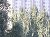 湿地公园湖中岛