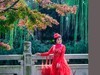 手机人像