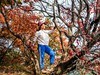 我和红叶有个约