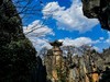 我眼中的石林景区（一）