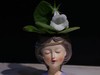大温室的苦苣苔展