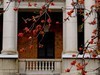 沿江路随拍