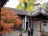 惠山枫叶