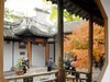 惠山枫叶