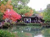 惠山枫叶