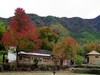 塔川宏村游