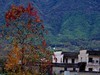 塔川宏村游