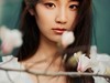【右视觉摄影】花漾诗途