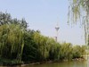 海河风光1