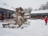 2022北京二月雪---大观园 4