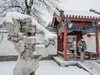 2022北京二月雪---大观园 4