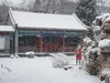 2022北京二月雪---大观园 4