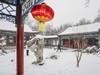 2022北京二月雪---大观园 4