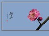 俏也不争春，只把春来报