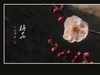 俏也不争春，只把春来报