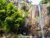 雁苍山瀑布